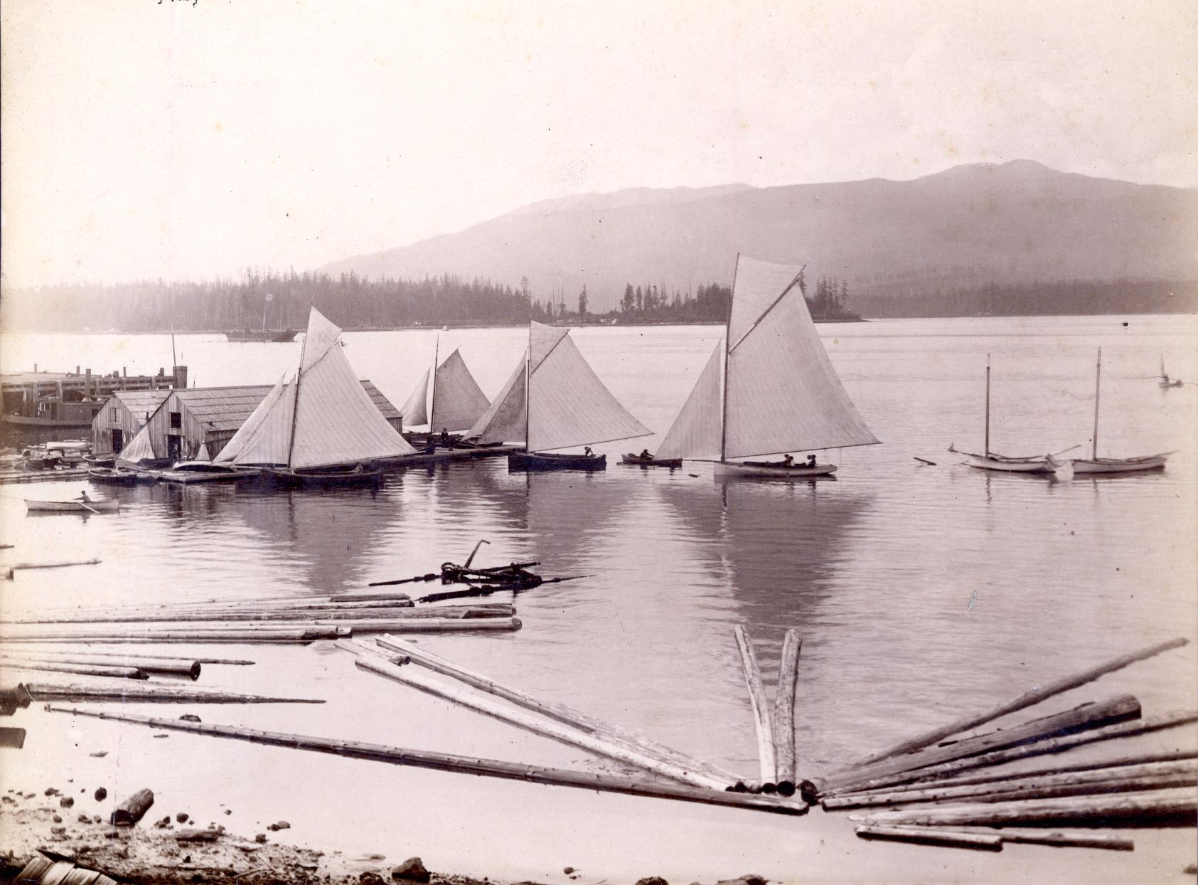 A photo depicting sailing vessels at City Wharf and Linton Boathouse in Vancouver, British Columbia.