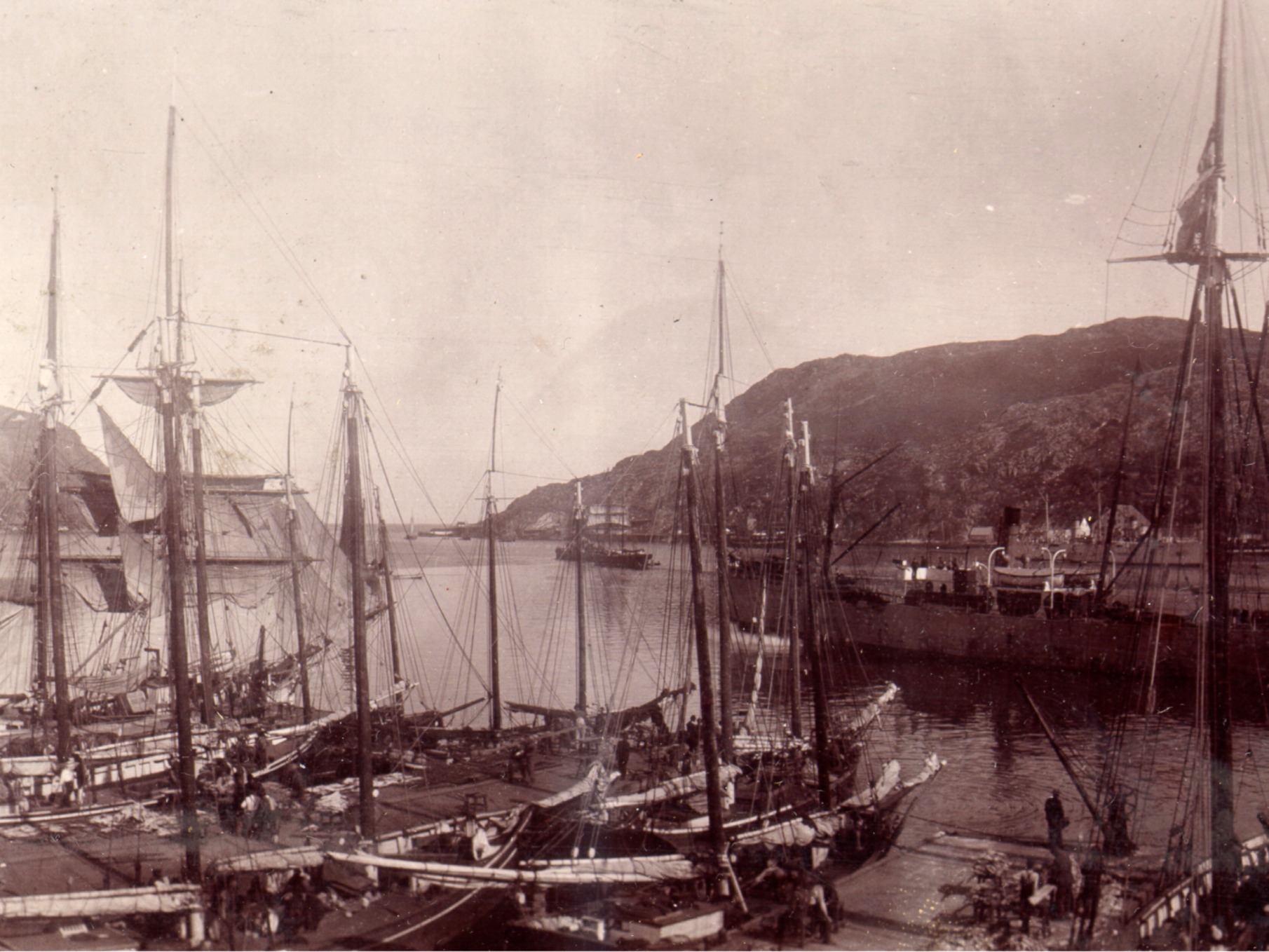 St. John's harbour and the Narrows, ca. 1905. Memorial University of Newfoundland, Maritime History Archive, PF-315.078